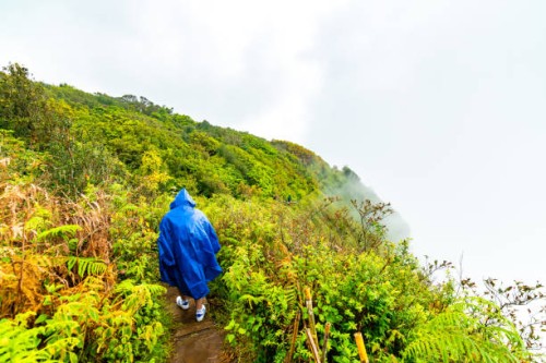 Beautiful Layagasa Trek