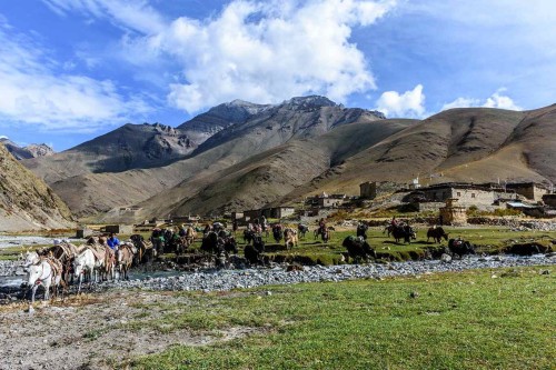 Lower Dolpo Jomsom Trek: A Remote Adventure Through the Heart of Tibetan Culture