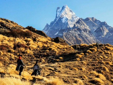 Machhapuchhre TAAN Model Trek
