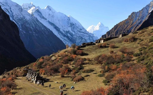 Arun Valley Trekking