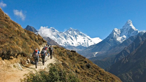 Gangtey Low Altitude Trek