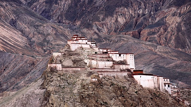 Druk Path Trek