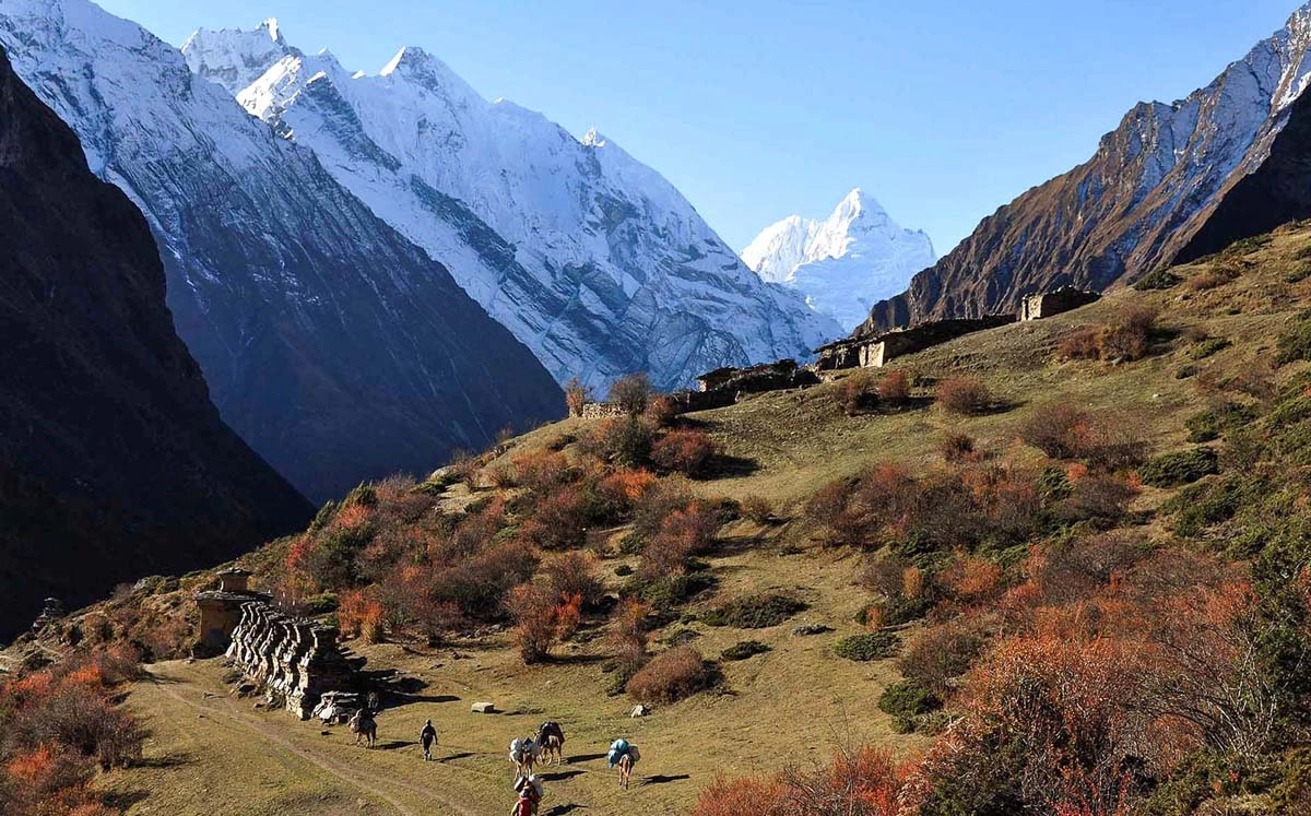 Arun Valley Trekking